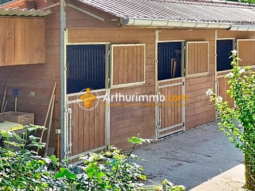Luxury home in Saint-Didier-de-la-Tour, Isère