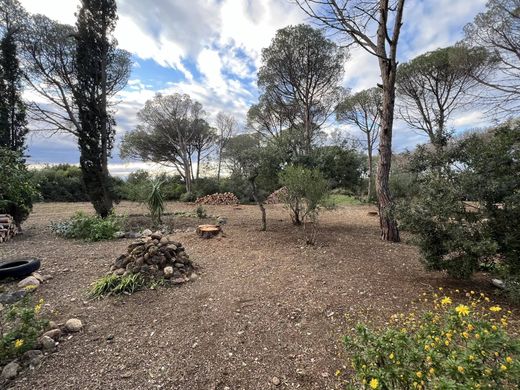 ‏בתים כפריים או חוות ב  Saint-Estève, Pyrénées-Orientales