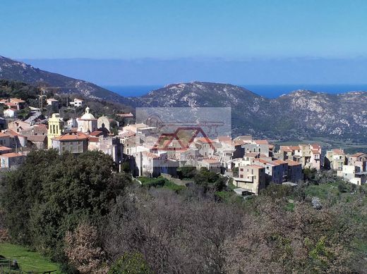 Участок, Cateri, Upper Corsica