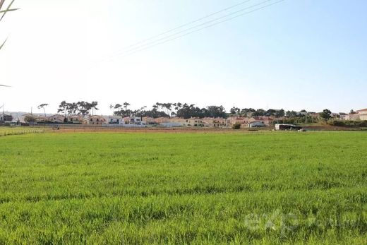 Land in Torres Vedras, Lisbon