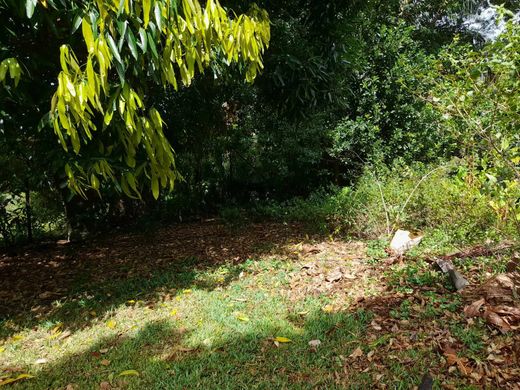 Land in Saint-Pierre, Réunion