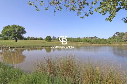 Luxury home in Bergerac, Dordogne