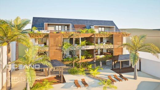 ‏דירה ב  Grand-Case