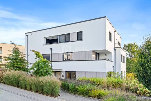 Apartment in Steinfort, Capellen