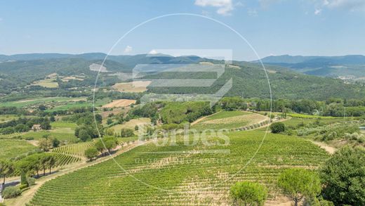 Rural or Farmhouse in Bibbona, Provincia di Livorno