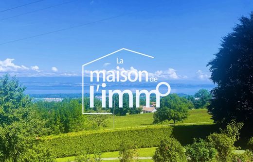 Luxury home in Marin, Haute-Savoie