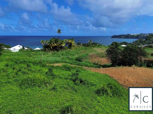 Terrain à Le Lorrain, Martinique