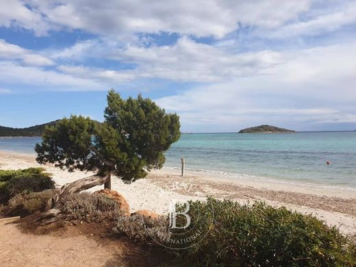 地皮  Sainte-Lucie de Porto-Vecchio, South Corsica