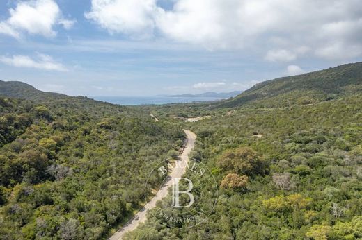 Land in Porto-Vecchio, South Corsica