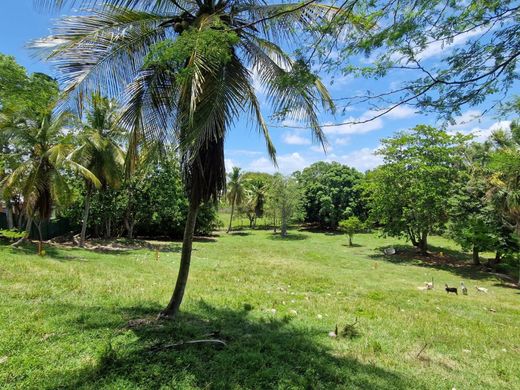 Αγροτεμάχιο σε Le Gosier, Guadeloupe