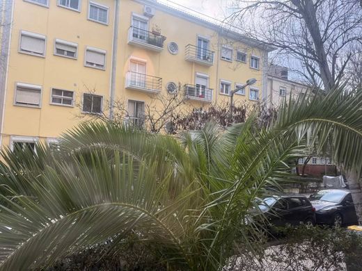 Apartment in Alvalade, Lisbon