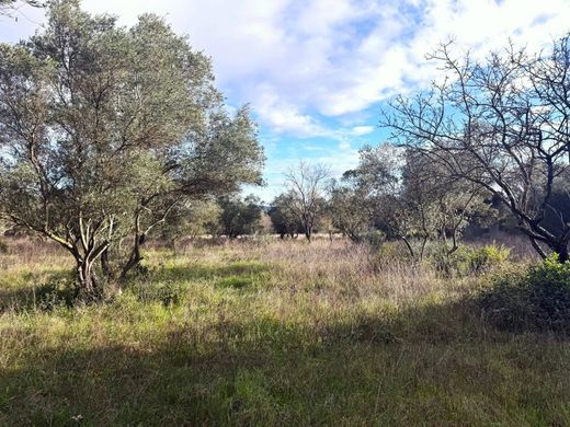 Terreno - Uzès, Gard