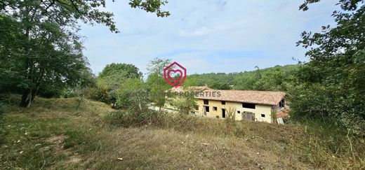 Rustik ya da çiftlik Artigat, Ariège
