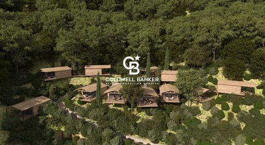 Lüks ev La Môle, Var