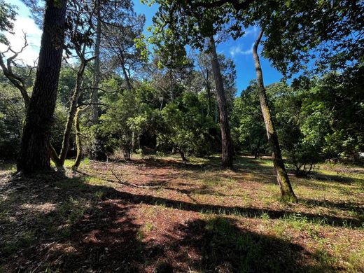 Grond in Arcachon, Gironde