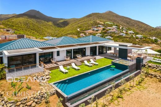 ‏וילה ב  Saint Martin