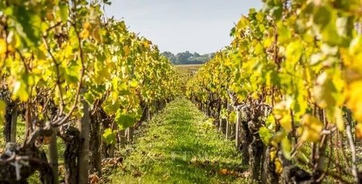 Demeure ou Maison de Campagne à Bormes-les-Mimosas, Var