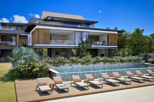 Daire Îlot Fortier, Black River District