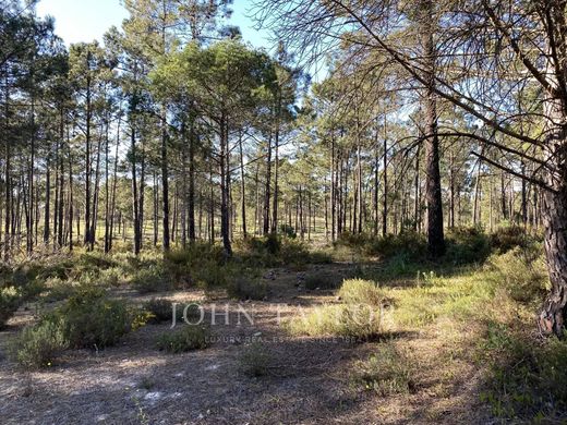 Land in Comporta, Alcácer do Sal