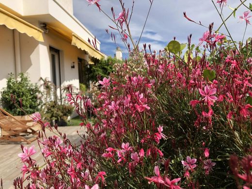 Daire Nice, Alpes-Maritimes