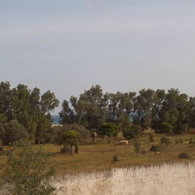 Grundstück in Hammamet, Gouvernorat de Nabeul