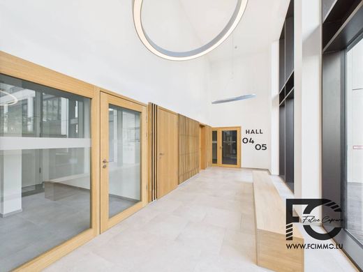 Apartament w Belval, Sanem