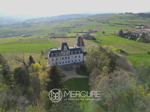 Castle in Villefranche-sur-Saône, Rhône