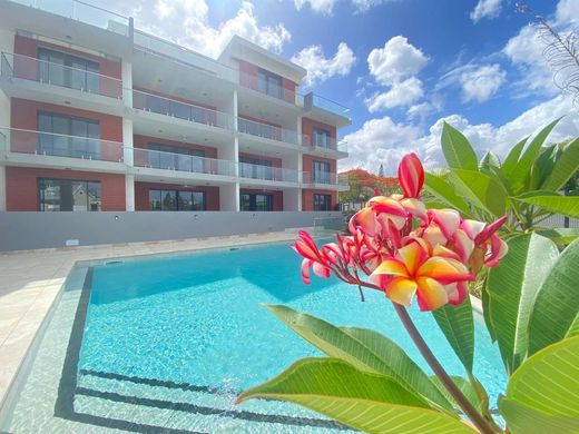 阁楼  Trou aux Biches, Pamplemousses District