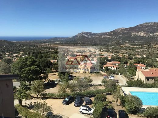 Appartement à Calenzana, Haute-Corse