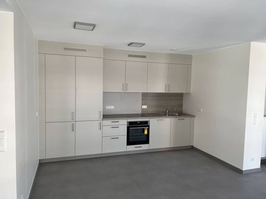 Apartment in Esch-sur-Alzette, Canton d'Esch-sur-Alzette