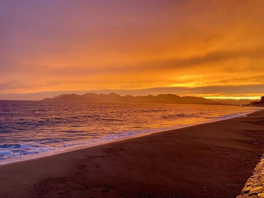 호화 저택 / 칸, Alpes-Maritimes