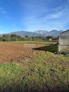 Terreno en Forte dei Marmi, Lucca