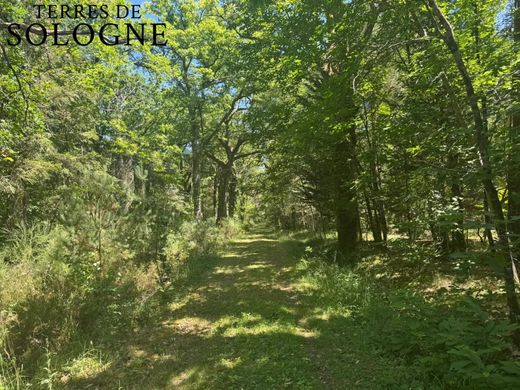 Luxus-Haus in Ligny-le-Ribault, Loiret