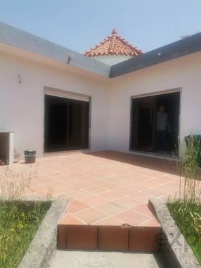 전원/농가 / Arraiolos, Distrito de Évora