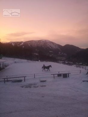 村舍/农舍  Les Houches, Haute-Savoie