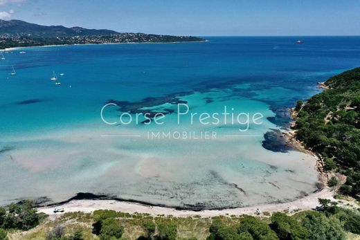 Willa w Sainte-Lucie de Porto-Vecchio, South Corsica