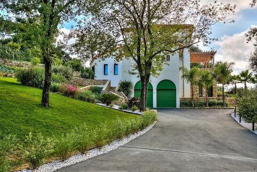 Mougins, Alpes-Maritimesのヴィラ