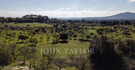 토지 / Moscari, Illes Balears