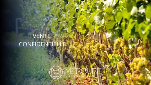 Landhaus / Bauernhof in Fleurie, Rhône