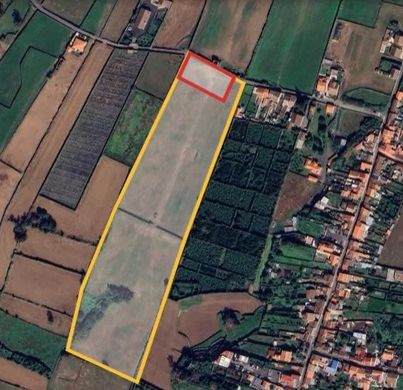 토지 / Pico da Pedra, Ribeira Grande