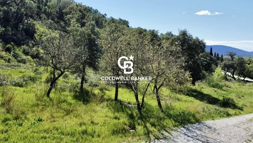 Teren w Grimaud, Var