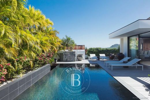 ﻓﻴﻼ ﻓﻲ Gustavia