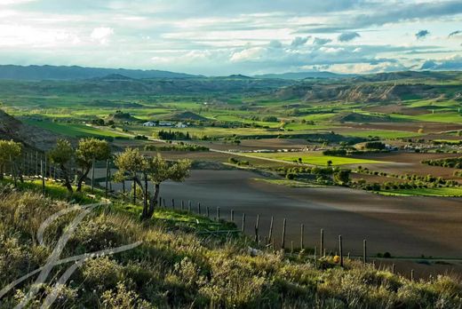 ﻣﻨﺰﻝ ﺭﻳﻔﻲ/ ﺑﻴﺖ ﻤﺰﺭﻋﺔ ﻓﻲ Cuenca, Provincia de Cuenca