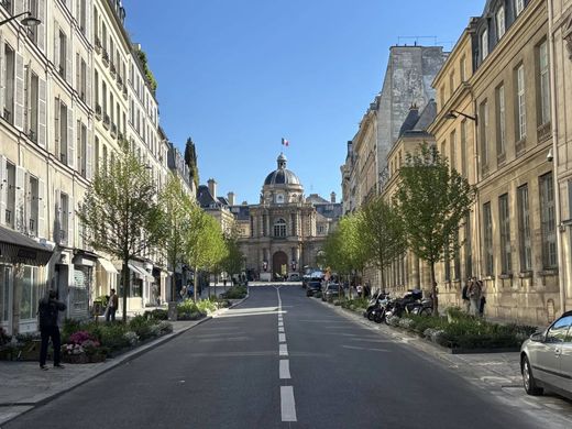 아파트 / Saint-Germain, Odéon, Monnaie, Paris