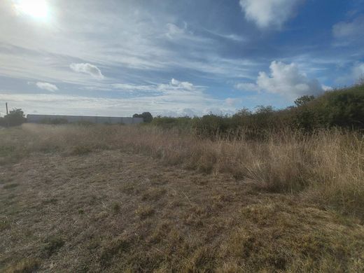 Terreno - Doue-en-Anjou, Maine-et-Loire