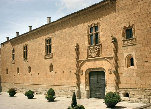 Luksusowy dom w Ciudad Rodrigo, Provincia de Salamanca