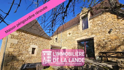 Luxury home in Castels, Dordogne