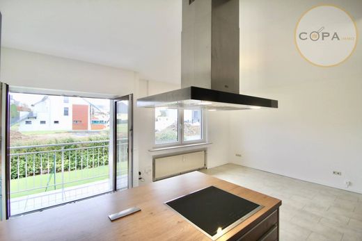 Piso / Apartamento en Dudelange, Canton d'Esch-sur-Alzette