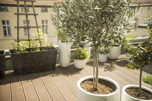 Appartement à Bourg-la-Reine, Hauts-de-Seine