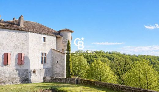 Zamek w Montaigu-de-Quercy, Tarn-et-Garonne